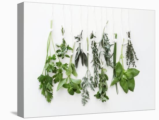 Various Fresh Herbs Hanging Up-Tanya Zouev-Premier Image Canvas