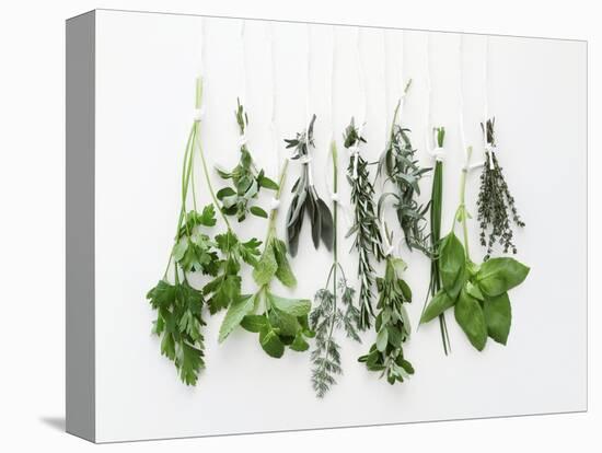 Various Fresh Herbs Hanging Up-Tanya Zouev-Premier Image Canvas