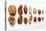 Various Nuts, Shelled and Unshelled-Eising Studio - Food Photo and Video-Premier Image Canvas