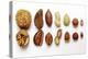 Various Nuts, Shelled and Unshelled-Eising Studio - Food Photo and Video-Premier Image Canvas