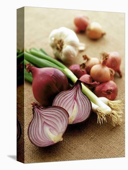 Various Onion Family Vegetables-Peter Howard Smith-Premier Image Canvas