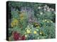 Various Species of Flowers in Garden-Mark Gibson-Premier Image Canvas