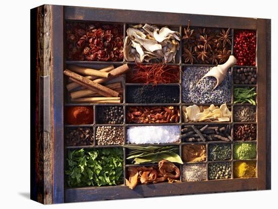 Various Spices in a Type Case-Oliver Brachat-Premier Image Canvas