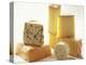 Various Types of Cheese-J.-F. Hamon-Premier Image Canvas