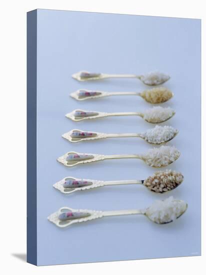 Various Types of Rice on Asian Spoons-Alexander Van Berge-Premier Image Canvas