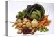 Various Types of Root Vegetables, Turnips and Cabbage-Eising Studio - Food Photo and Video-Premier Image Canvas