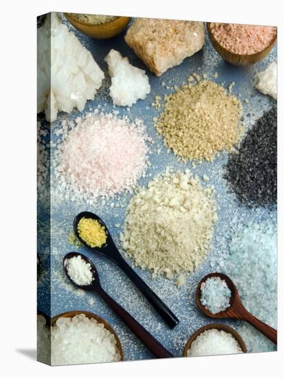 Various Types of Salt-Nico Tondini-Premier Image Canvas