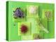 Various Types of Sprouts and Sprouted Seeds-Jan-peter Westermann-Premier Image Canvas