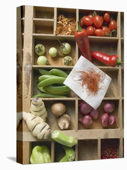 Various Types of Vegetables, Spices and Mushrooms in Type Case-null-Premier Image Canvas