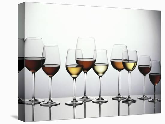 Various Types of Wine in Glasses-null-Premier Image Canvas