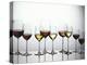 Various Types of Wine in Glasses-null-Premier Image Canvas