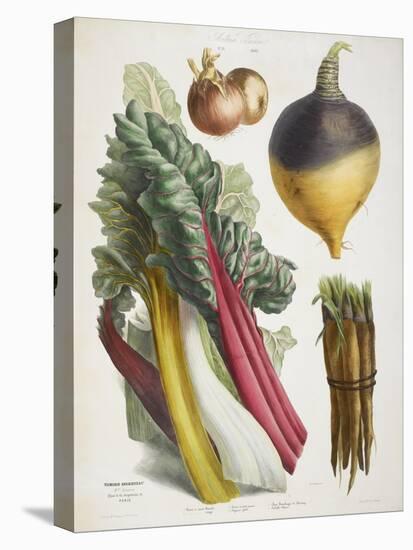 Various Vegetables Including Carrots, Onions, Swede and Chard-null-Premier Image Canvas