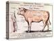 Veal: Diagram Depicting the Different Cuts of Meat-French School-Premier Image Canvas