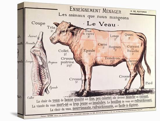 Veal: Diagram Depicting the Different Cuts of Meat-French School-Premier Image Canvas
