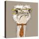 Vector Closeup Portrait of Funny Ostrich Bird Hipster-kavalenkava volha-Stretched Canvas