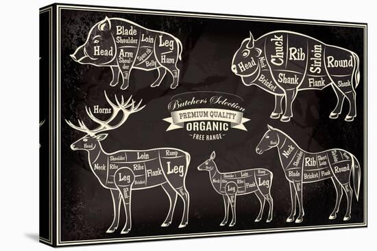 Vector Diagram Cut Carcasses Boar, Bison, Deer, Horse-111chemodan111-Stretched Canvas