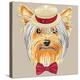 Vector Funny Cartoon Hipster Dog Yorkshire Terrier-kavalenkava volha-Stretched Canvas