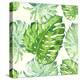 Vector Illustration with Tropical Leaves-Monash-Stretched Canvas