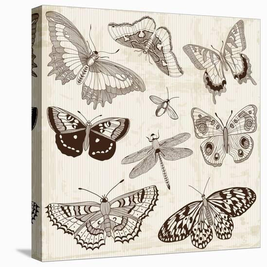 Vector Set: Calligraphic Butterfly Design Elements and Page Decoration-woodhouse-Stretched Canvas