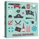 Vector Set: Pirate Supplies Silhouettes and Icons-vreddane-Stretched Canvas