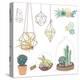 Vector Set with Succulents, Flowers and Glass Terrariums-Alisa Foytik-Stretched Canvas