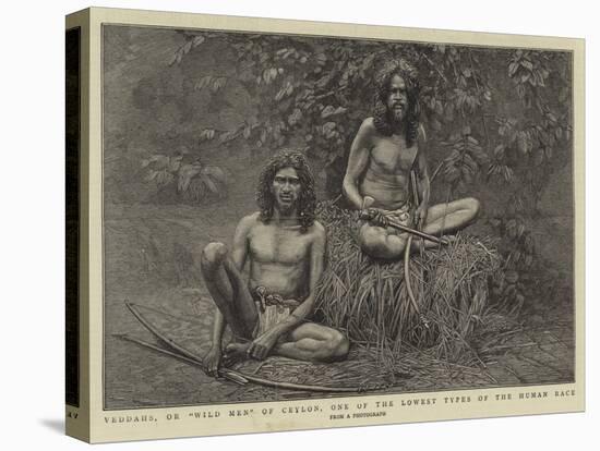 Veddahs, or Wild Men of Ceylon, One of the Lowest Types of the Human Race-null-Premier Image Canvas