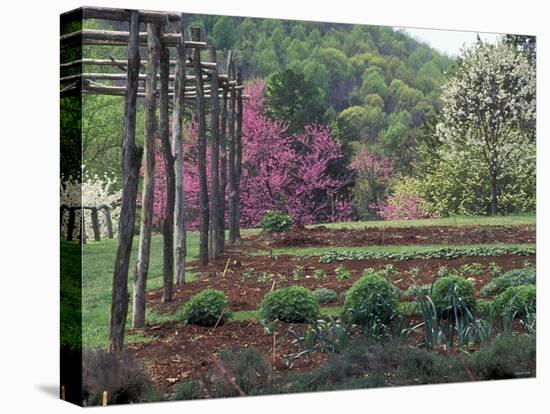 Vegetable Garden at Monticello, Thomas Jefferson's Home in Charlottesville, Virginia-null-Premier Image Canvas