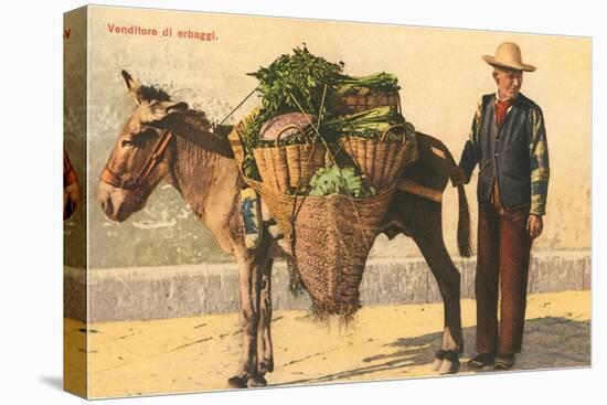 Vegetable Seller with Donkey, Italy-null-Stretched Canvas