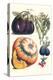Vegetables; Eggplant, Raddish, Pumpkin, Gourd, Pepper and Okra-Philippe-Victoire Leveque de Vilmorin-Stretched Canvas
