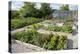 Vegetables Growing in Raised Beds on Garden Plot-null-Premier Image Canvas
