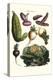 Vegetables; Melon, Onion, Cabbage, Potato, Raddish-Philippe-Victoire Leveque de Vilmorin-Stretched Canvas