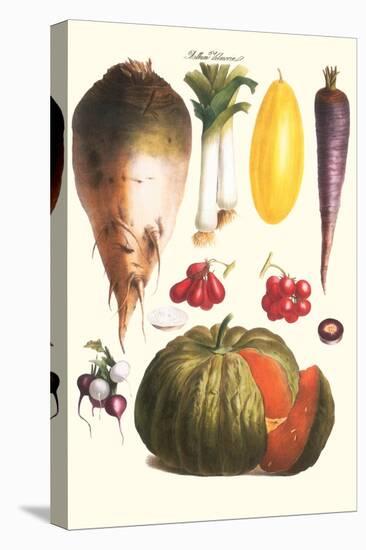 Vegetables: Melon, Purple Carrot, Cherry Tomatoes, Onions, Turnip, Leek-Philippe-Victoire Leveque de Vilmorin-Stretched Canvas