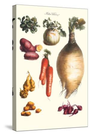 Vegetables Onion Potato Carrot Roots Tubers Art Print Philippe Victoire Leveque De Vilmorin Art Com