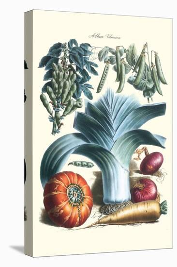 Vegetables; Peas, Pods, Onions, Leeks, and a Gourd-Philippe-Victoire Leveque de Vilmorin-Stretched Canvas