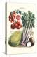 Vegetables; Tomato Varieties, Celery, and Potato-Philippe-Victoire Leveque de Vilmorin-Stretched Canvas