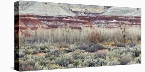 Vegetation in the Fremont River Valley, Capitol Reef National Park, Utah, Usa-Rainer Mirau-Premier Image Canvas