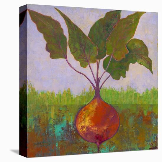 Veggie Garden IV-Mehmet Altug-Stretched Canvas