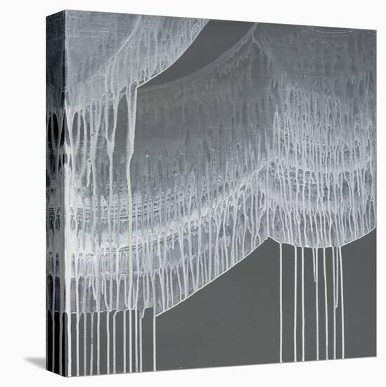 Veil 1-Lynn Basa-Stretched Canvas