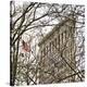 Veiled Flatiron Building (detail)-Erin Clark-Stretched Canvas
