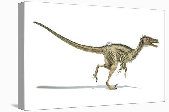Velociraptor Dinosaur, Artwork-null-Premier Image Canvas