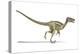 Velociraptor Dinosaur, Artwork-null-Premier Image Canvas