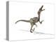 Velociraptor Dinosaur, Artwork-null-Premier Image Canvas