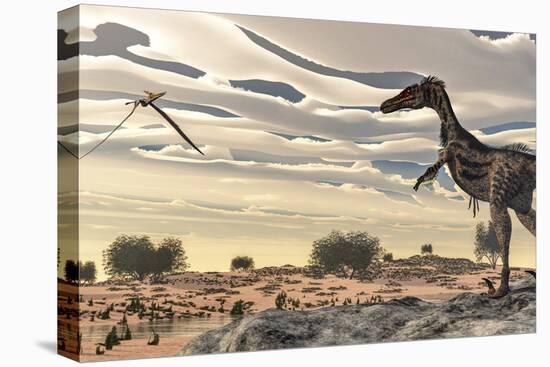 Velociraptor Dinosaur Observing a Pteranodon Flying over the Desert-Stocktrek Images-Stretched Canvas