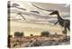 Velociraptor Dinosaur Observing a Pteranodon Flying over the Desert-Stocktrek Images-Stretched Canvas