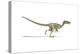 Velociraptor Dinosaur on White Background-null-Stretched Canvas