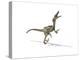 Velociraptor Dinosaur on White Background-null-Stretched Canvas