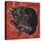 Velvet Cat I (Chat Velours I)-Isy Ochoa-Premier Image Canvas