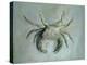 Velvet Crab, 1870-1-John Ruskin-Premier Image Canvas