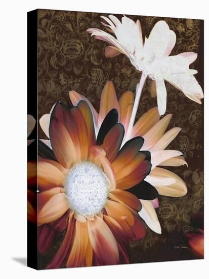 Velvet Daisy 2-Matina Theodosiou-Stretched Canvas