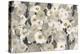 Velvety Florals Neutral-Silvia Vassileva-Stretched Canvas